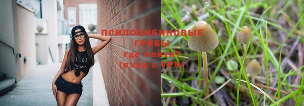 винт Белокуриха