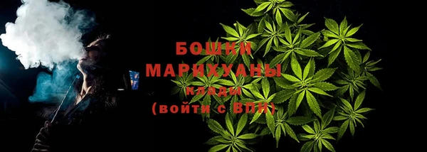 сатива Баксан