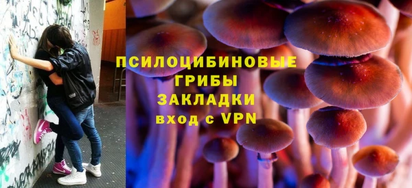 винт Белокуриха