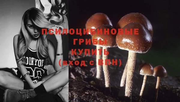 гашик Белоозёрский