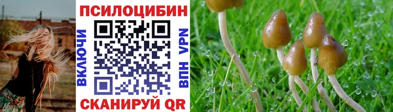 как найти закладки  это Telegram  Галлюциногенные грибы Magic Shrooms  Кущёвская 